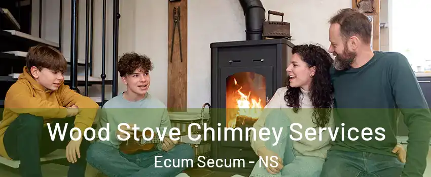  Wood Stove Chimney Services Ecum Secum - NS