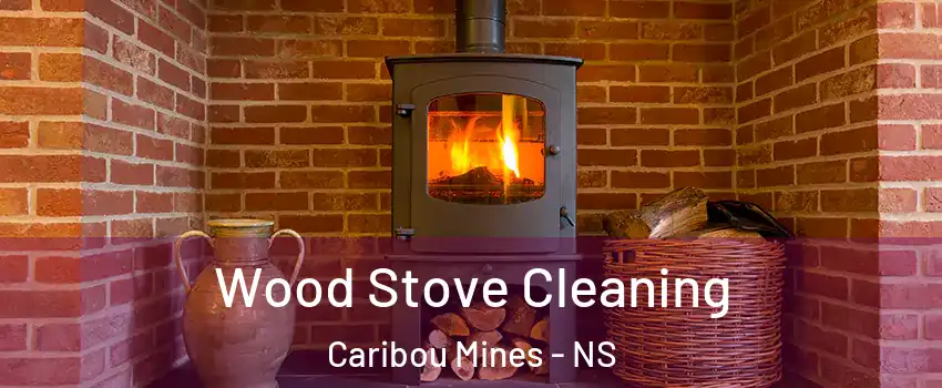  Wood Stove Cleaning Caribou Mines - NS