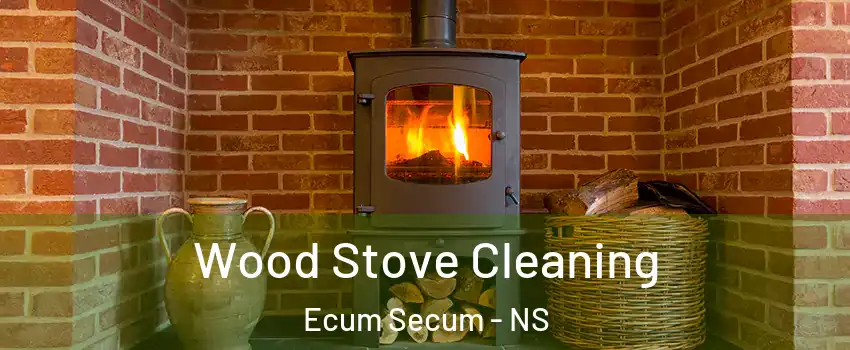  Wood Stove Cleaning Ecum Secum - NS