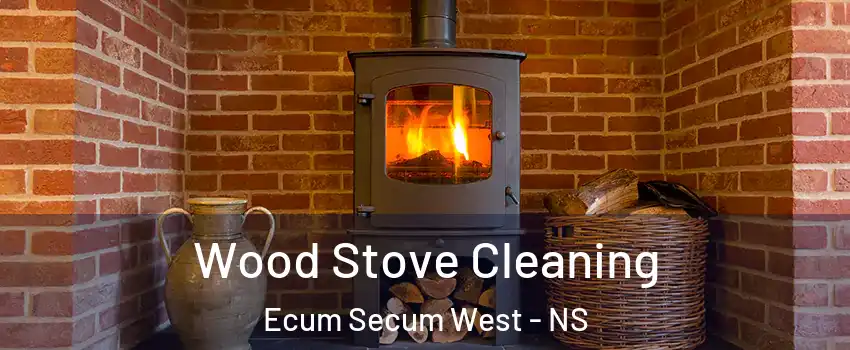  Wood Stove Cleaning Ecum Secum West - NS