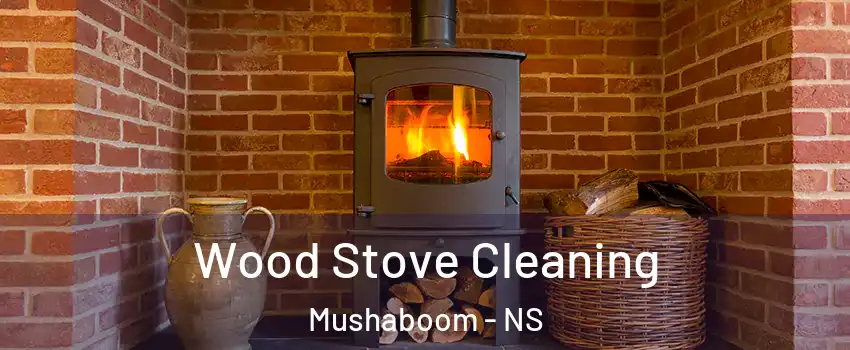  Wood Stove Cleaning Mushaboom - NS