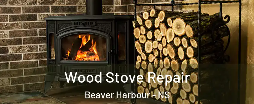  Wood Stove Repair Beaver Harbour - NS