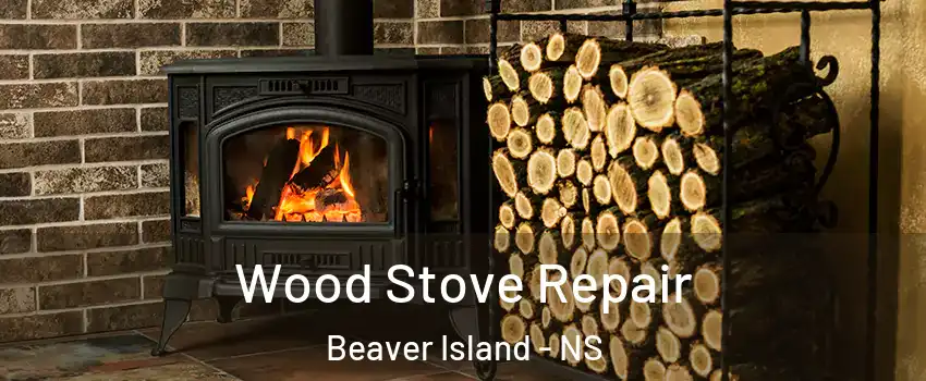  Wood Stove Repair Beaver Island - NS