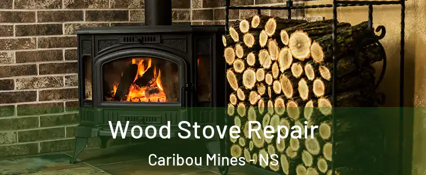  Wood Stove Repair Caribou Mines - NS