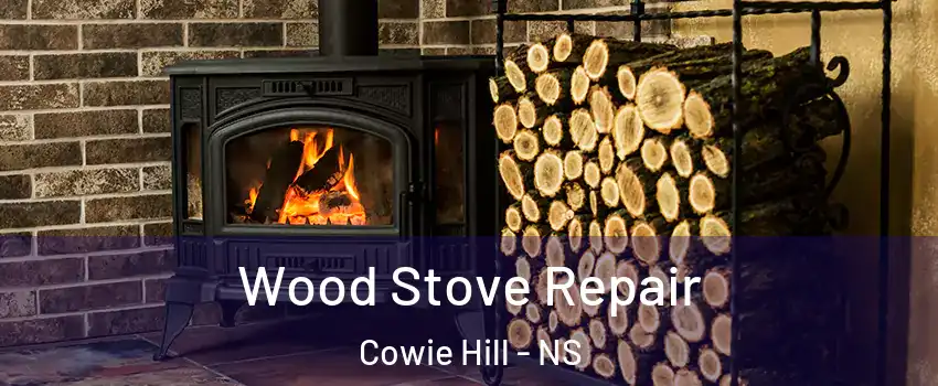  Wood Stove Repair Cowie Hill - NS