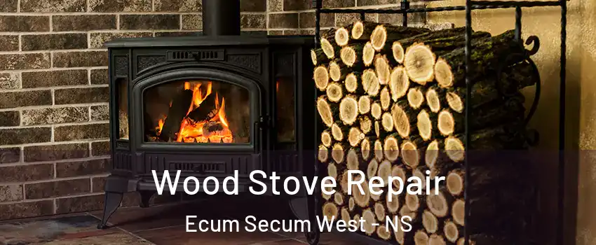  Wood Stove Repair Ecum Secum West - NS