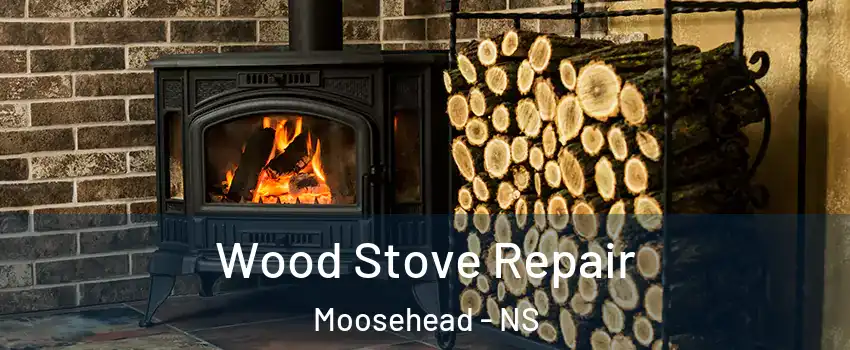  Wood Stove Repair Moosehead - NS